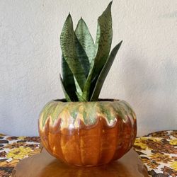 Vintage Plant Pottery 