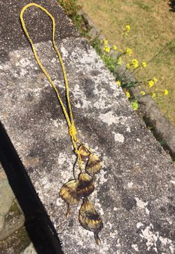 REAL butterfly wings necklace on leather