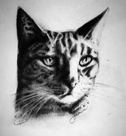 ~Pencil Portraits~! Horse and animal lovers LOOK