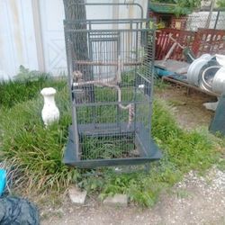 Bird Cage 