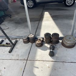 Weights 