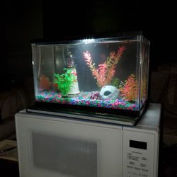 Standard Glass Aquarium Tank