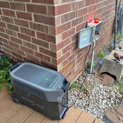 Portable power station "EcoFlow