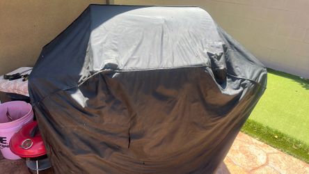 Gas BBQ pit free