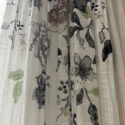 Anthropologie  Curtains 