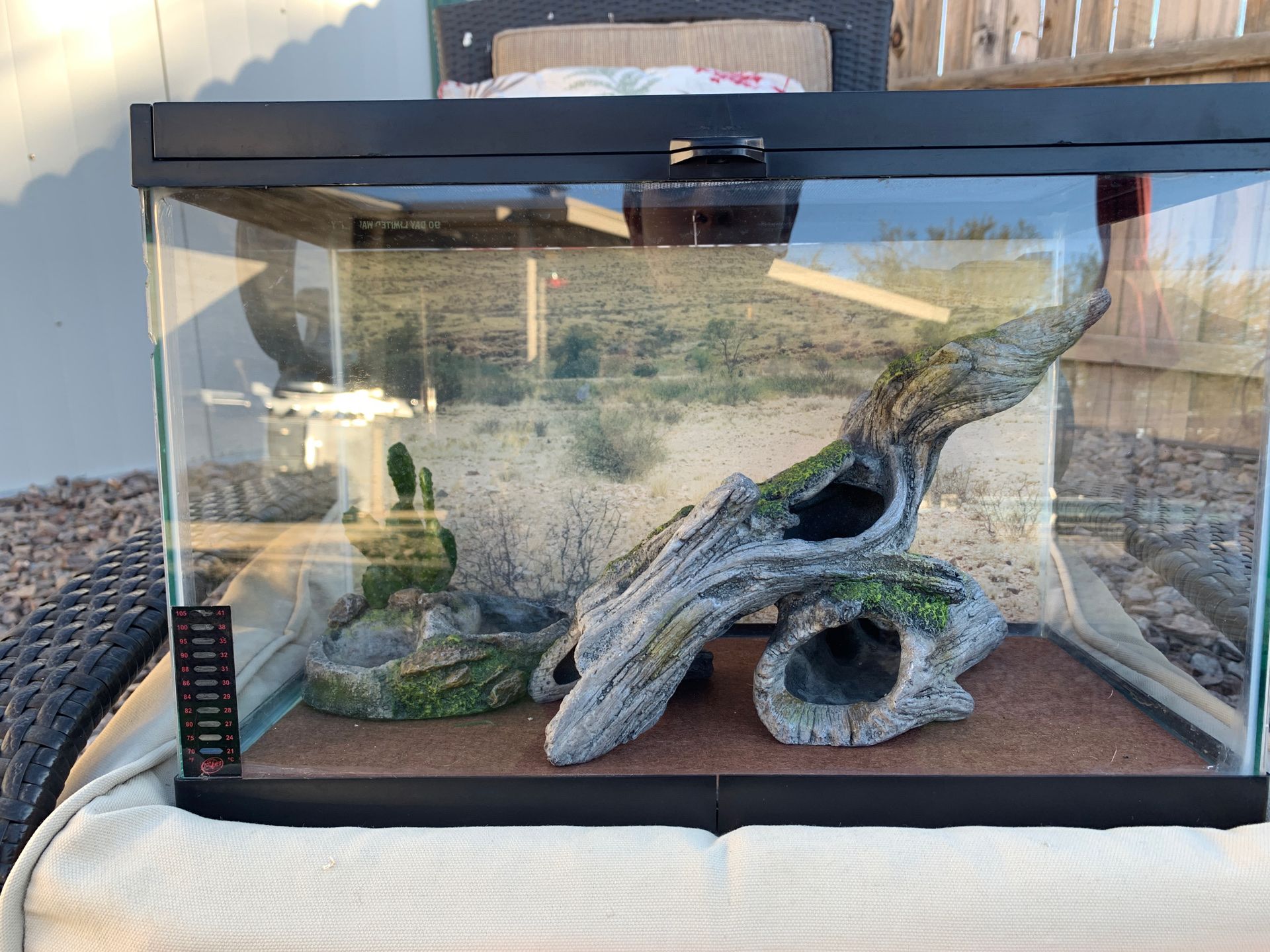 Beginner lizard tank for Sale in Chandler, AZ OfferUp