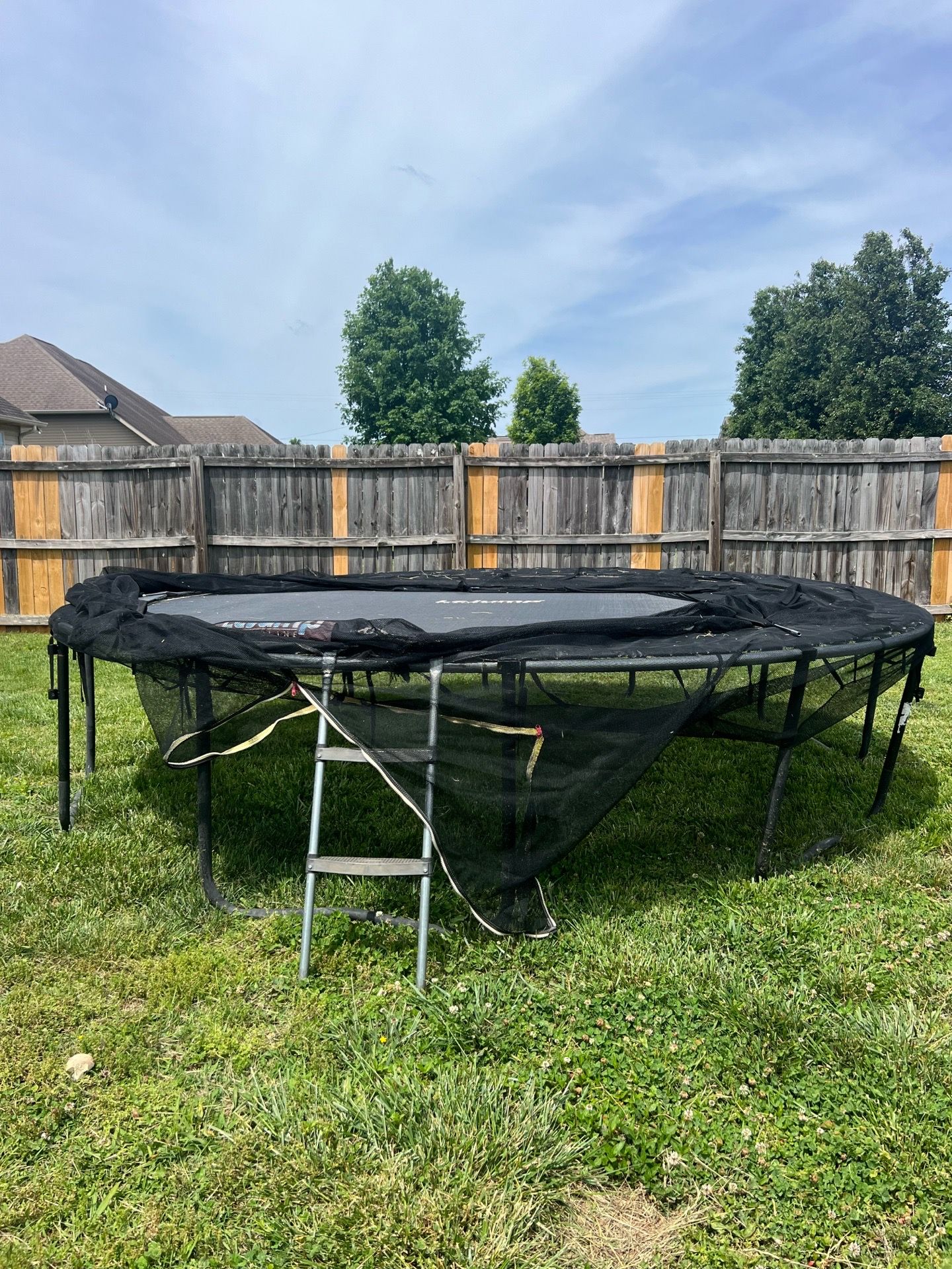 Trampoline