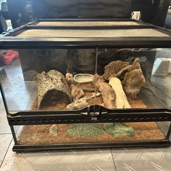 Exo Terra Habitat (with Leopard Gecko)