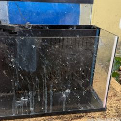 Fish Tank 2 Gallon Free