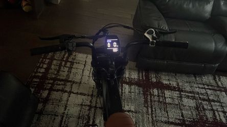 electric bike