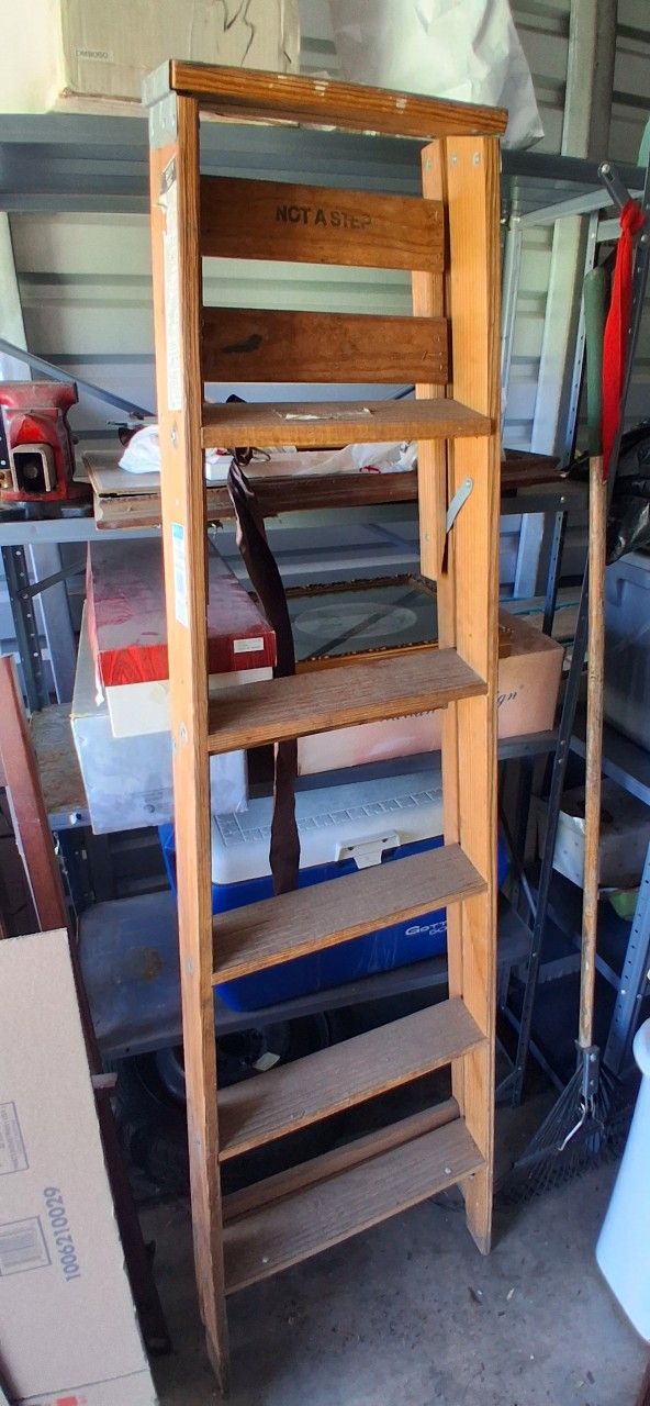6ft Ladder