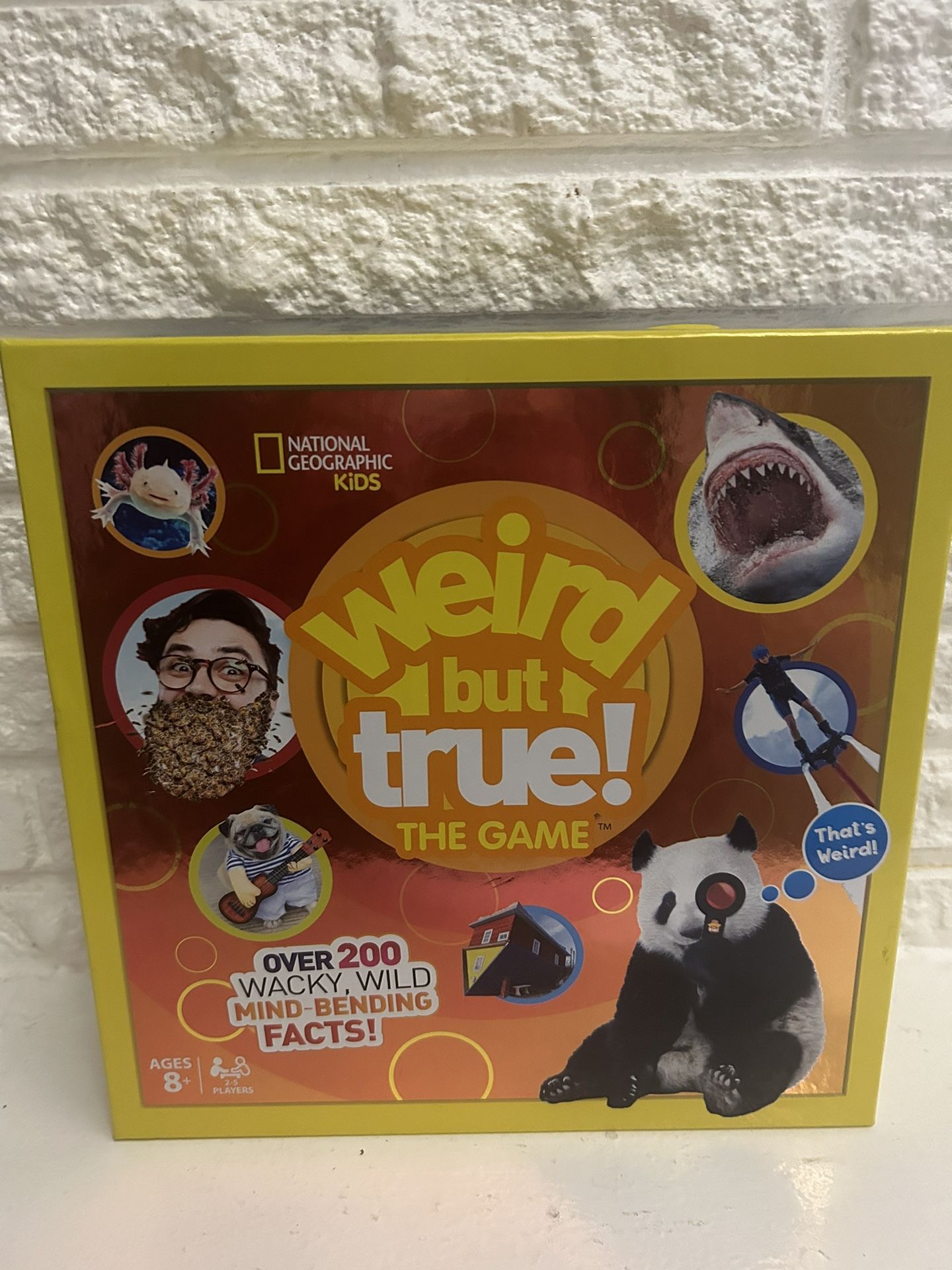 Buffalo Games National Geographic Kids - Weird But True! The Board Game by Buffalo Games