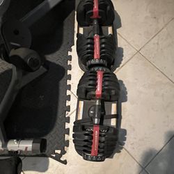 Bowflex Select Tech Dumbbells