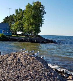 LAKE SUPERIOR PICTURE