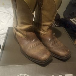 Ariat Mens Boots 