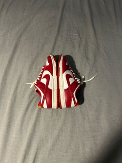 usc nike dunk low