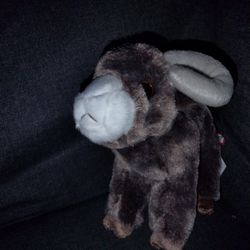 Teton the Bighorn Sheep stuffed animal