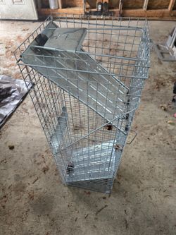 Large size rodent Trap