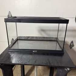 10 Gal Reptile Terrarium With Screen Top