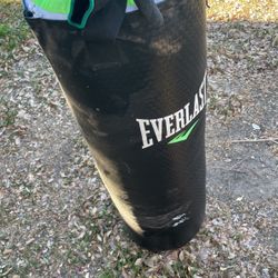 everlast punching bag