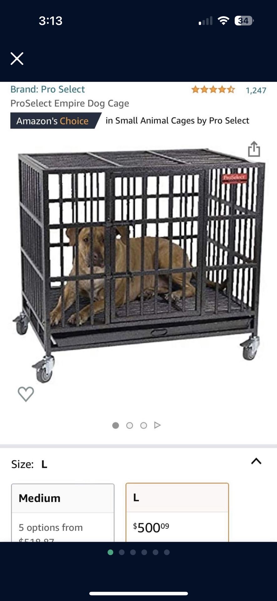 Amazon Proselect Proselect Empire Dog Cage Medium Kennel Cages