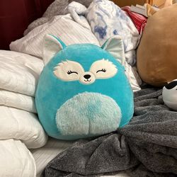 Squishmallow Dabney the Blue Fox