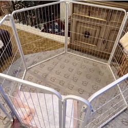 White Indoor Pet Playpen with 6 panels, 32 inches high and a swing open door.