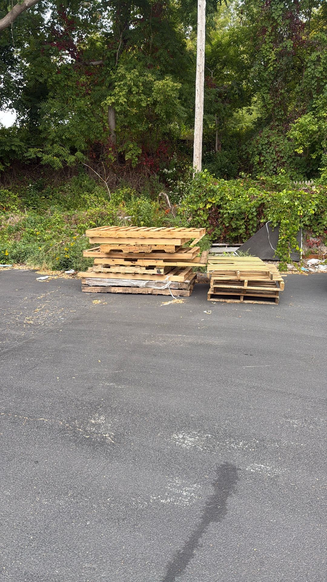 Free wood pallet
