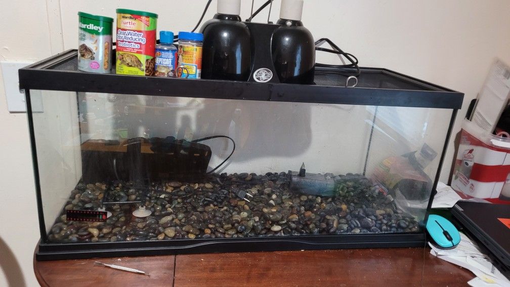 Trade 20 Gallon Aquarium Setup