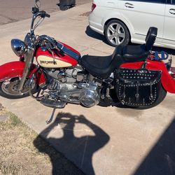 1986 Harley softail