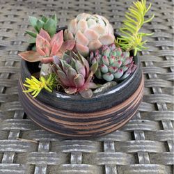 Colorful succulents In blue Marbled Clay Handmade ceramic Planter pot 