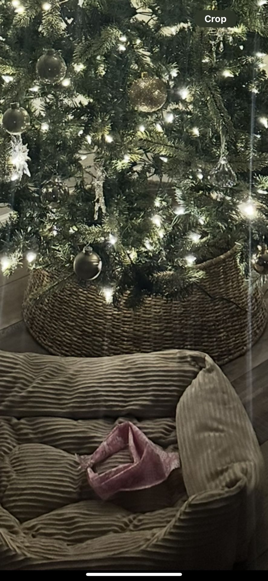 Christmas Tree West Elm Collar