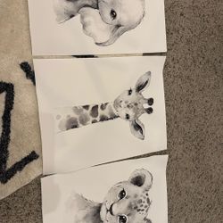 Safari Animal Canvas