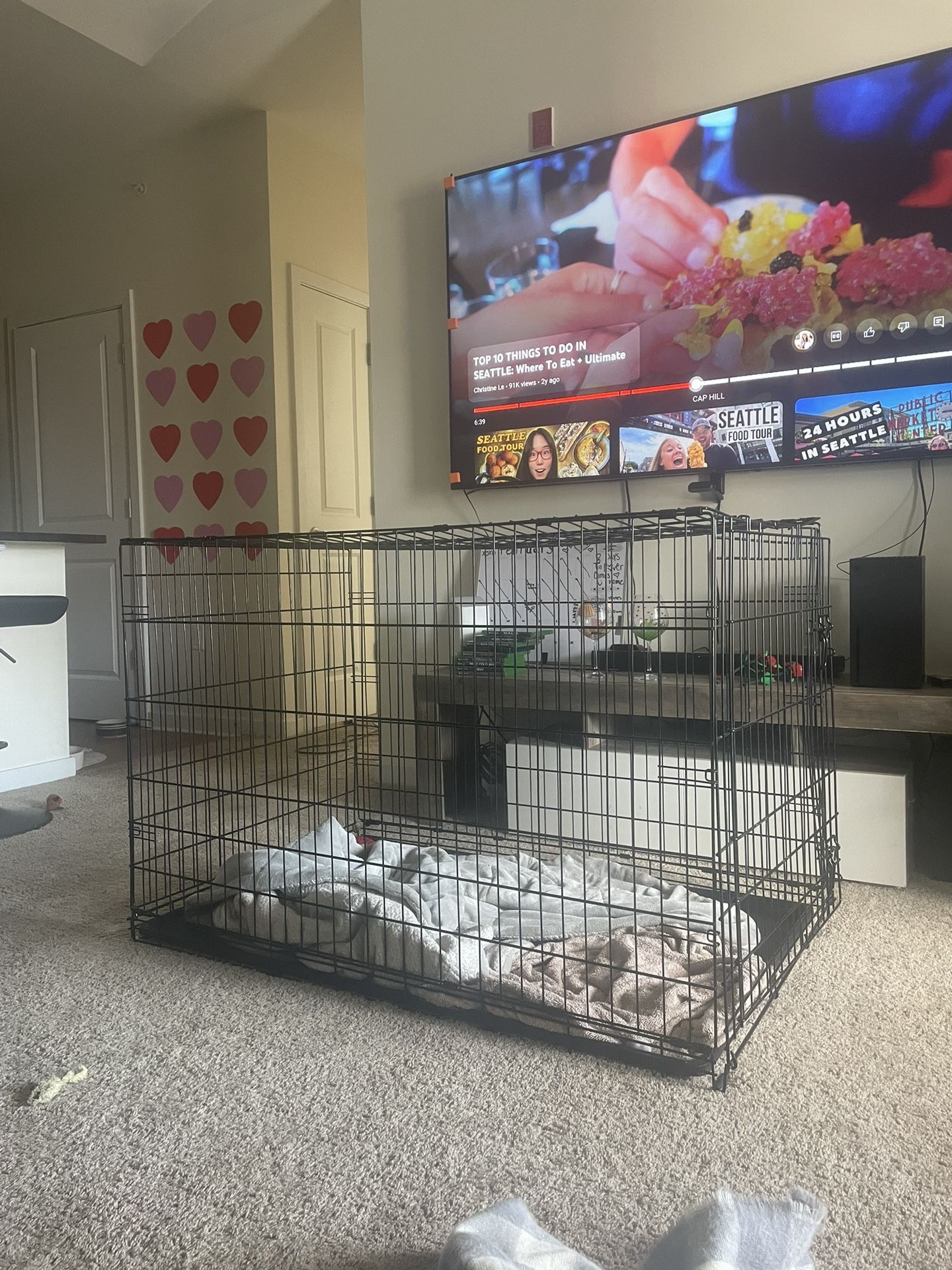 XL Dog crate