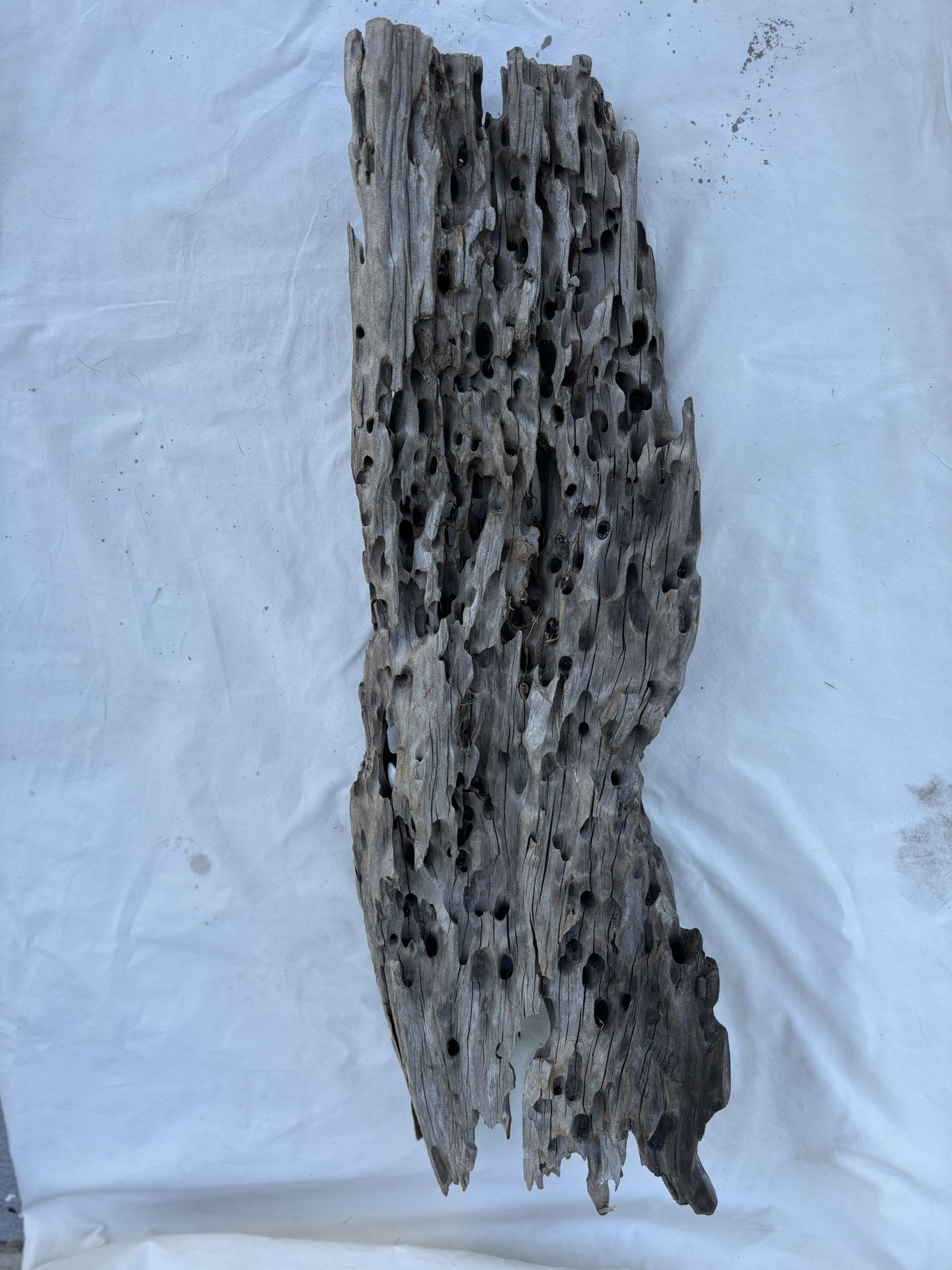 Driftwood