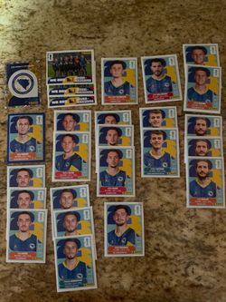 FIFA World Cup Panini stickers