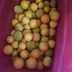 Naranjas. 8$ Cubeta. Aproximadamente 20 Libras. Solo Personas Interesadas