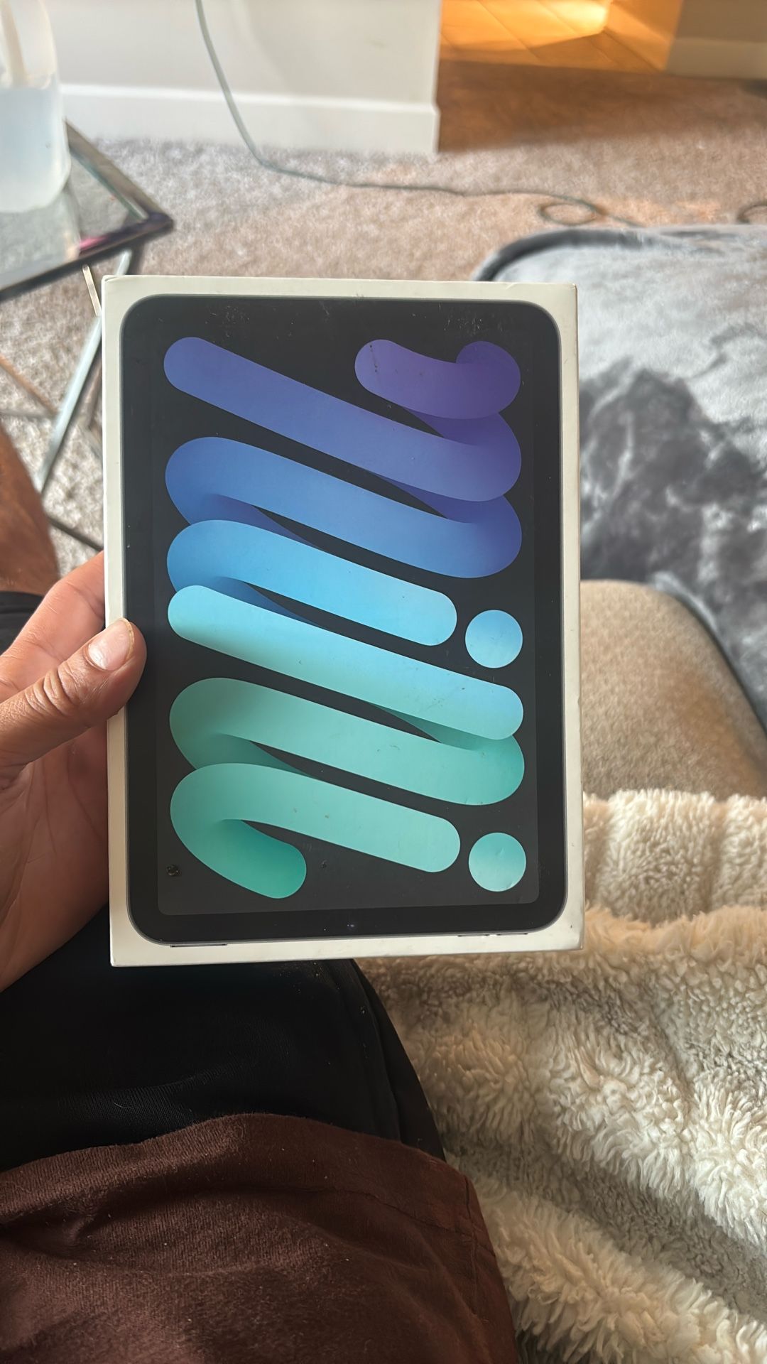 iPad Mini (6th generation) WiFi