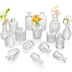 Glass Bud Vases Set of 20
