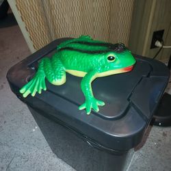 Toy Frog that Makes a Ribbit Sound When Anyone Walks Past Its Sensor Only 15$