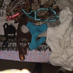 Dog Harnesses And Leashes And Outfit