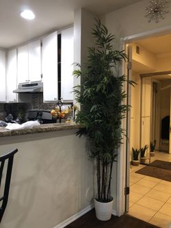 Planta artificial $100