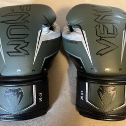 Boxing / Muay Thai Gloves