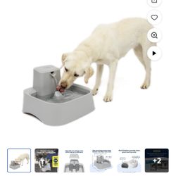 New Pet Fountain 2 Gallon