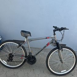 Road masters bike 