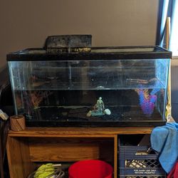 40g tank and desk