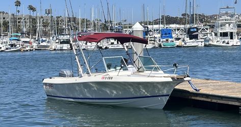 Wellcraft V20, Mariner 200 Family And Fishing Boat