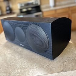 PIONEER Speaker (sounds Amazing)
