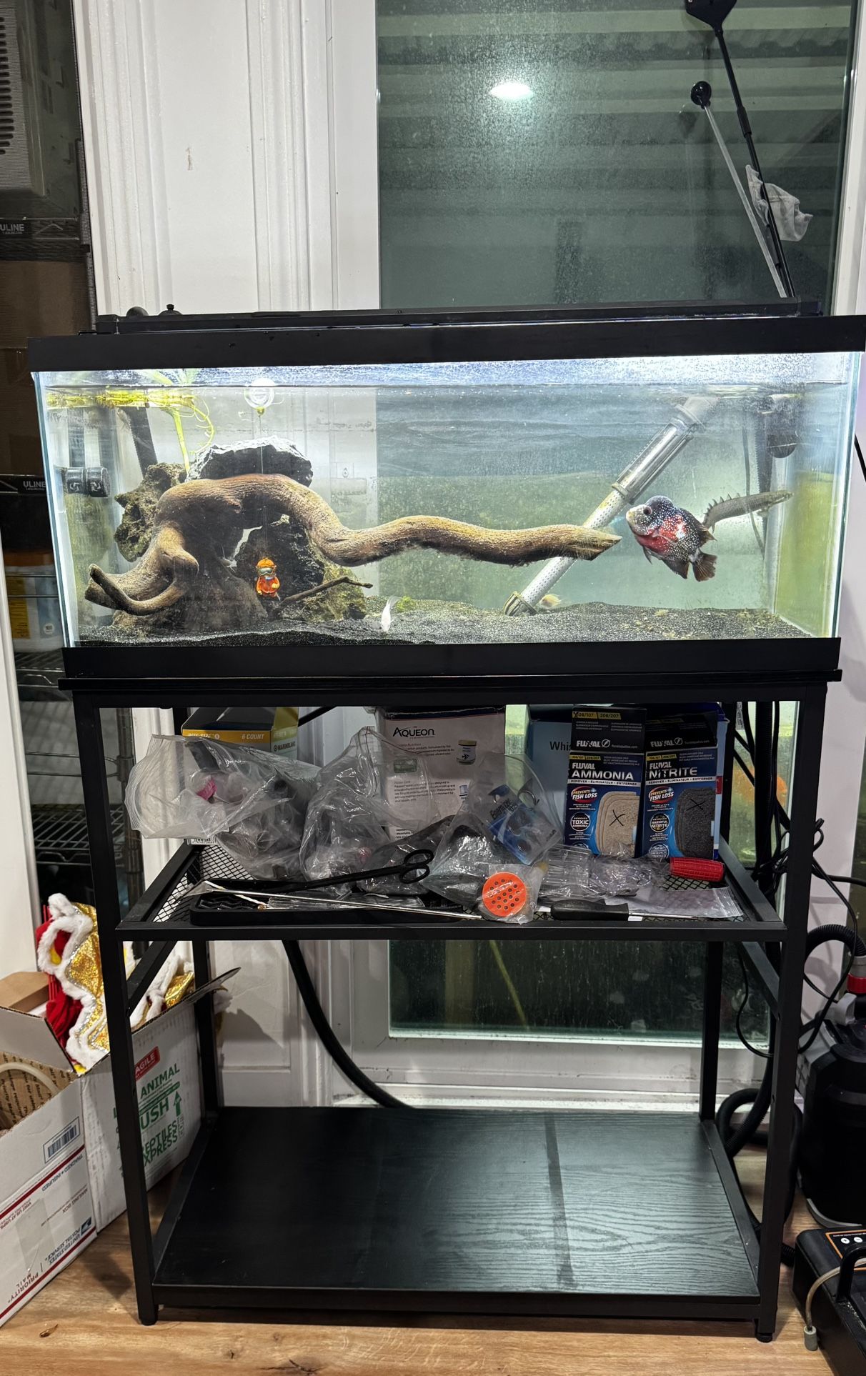 20 Gallon Long Fish Tank Aquarium