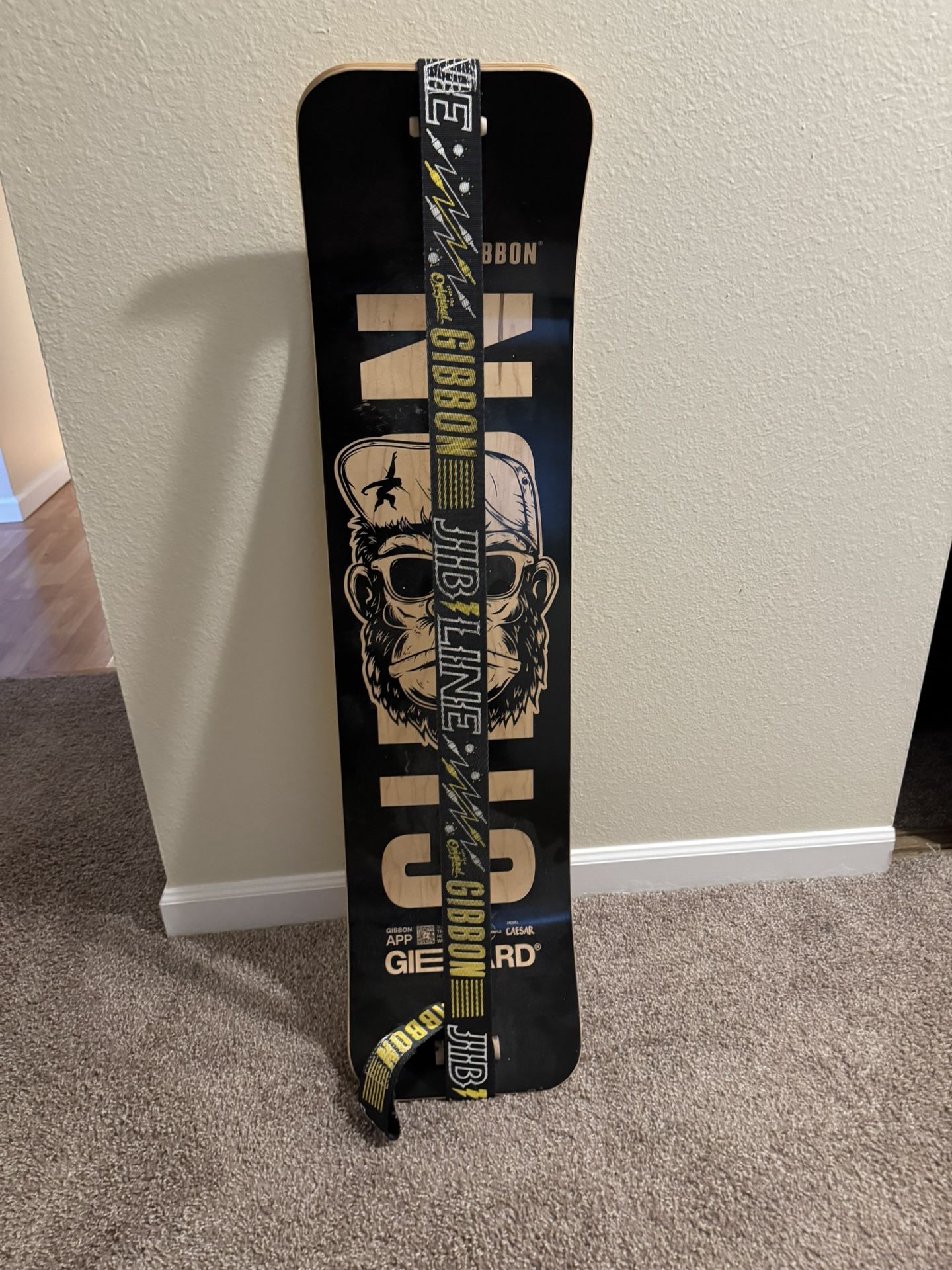 SlackBoard - BalanceBoard - Gibbon